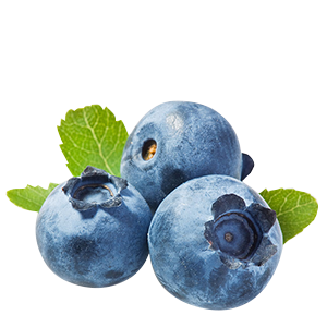 Blueberries 6oz